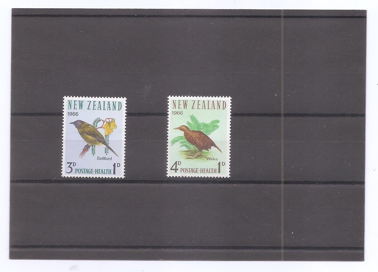 NUEVA ZELANDA DEL AÑO 1966 PAJAROS